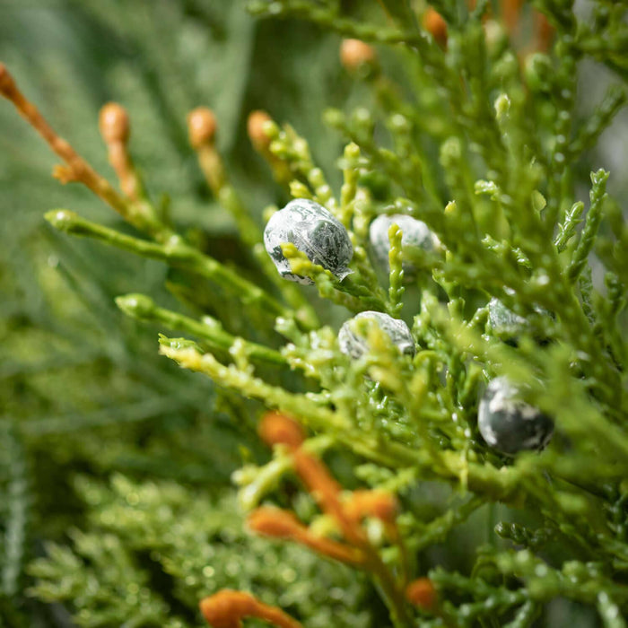 MIXED PINE & JUNIPER SPRAY