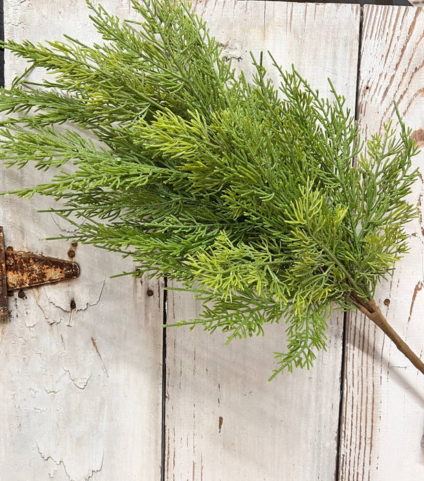 Long Stem Cedar Spray