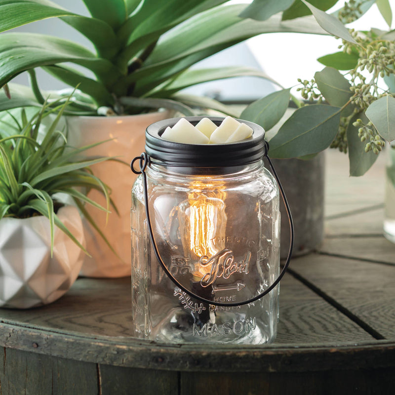 Walnut & Rope | Vintage Bulb Illumination Warmers