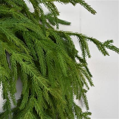 24” Natural Touch Norfolk Pine Wreath