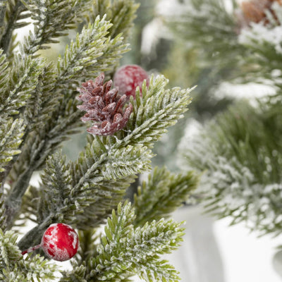 POTTED PINE TREE