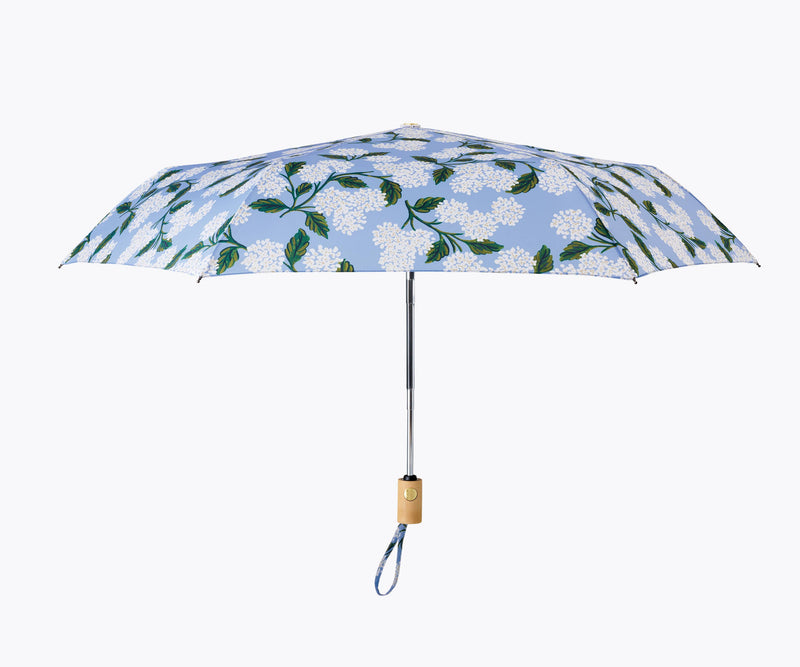 Hydrangea Umbrella