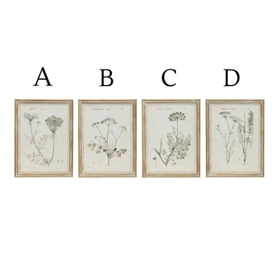 Botanical Print Wall Art (Pick-up Only)