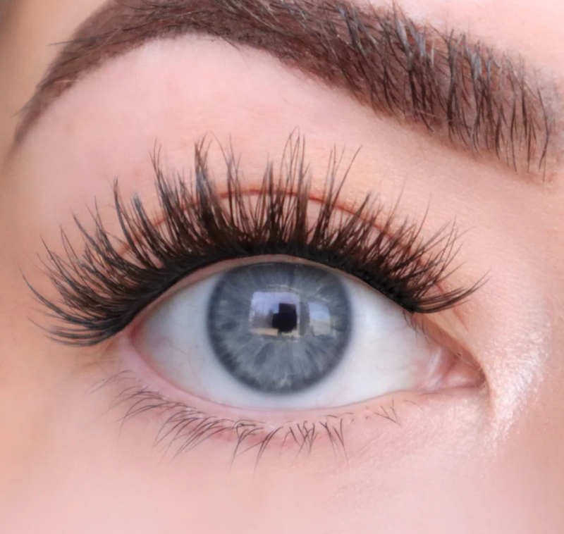 Water Lily - FLUTTER HABIT EYELASH