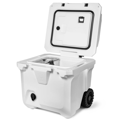 BrüTank 35-Quart Rolling Cooler (Ice White) IN-STORE PICK-UP ONLY