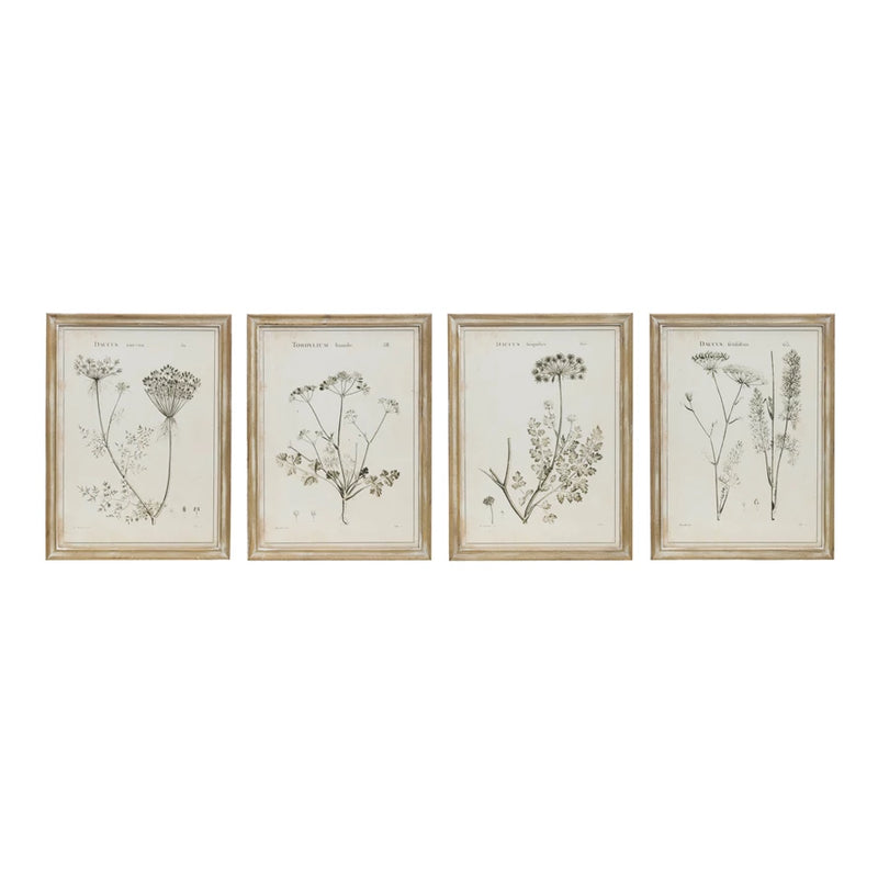 Botanical Print Wall Art (Pick-up Only)