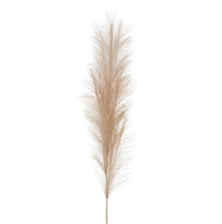 Faux Pampas Grass Plume | CREAM