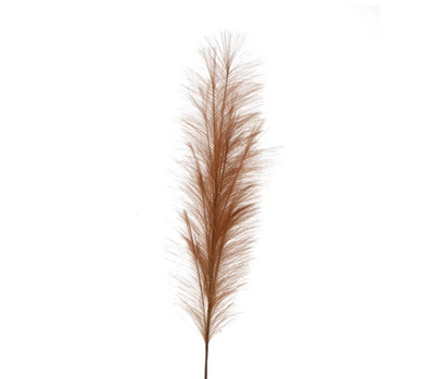 Faux Pampas Grass Plume | TERRACOTTA