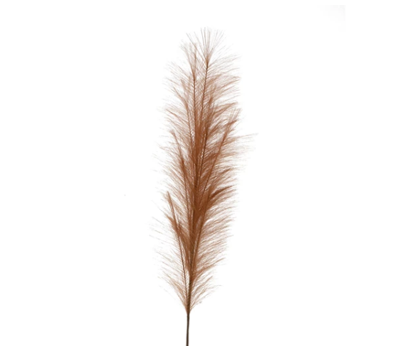 Faux Pampas Grass Plume | TERRACOTTA