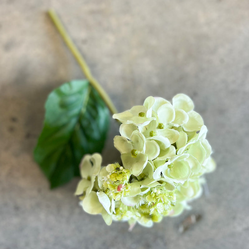 Hydrangea Pick | Green | 9"