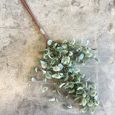 Garden Eucalyptus Bundle | 35"