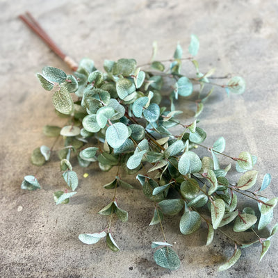 Garden Eucalyptus Bundle | 35"