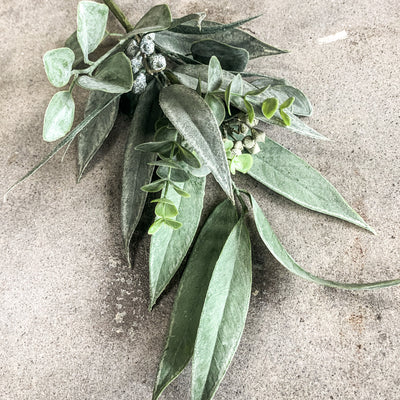 CALIFORNIA EUCALYPTUS SPRAY